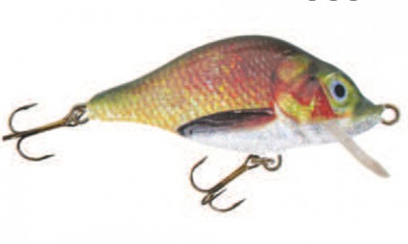 Carp Floater
